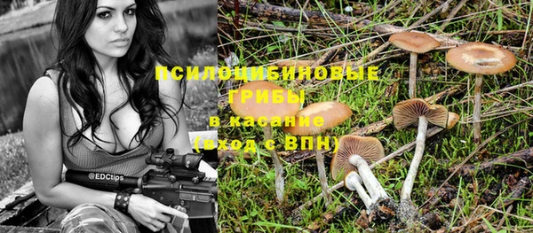 твердый Абинск