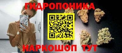 шишки Бузулук