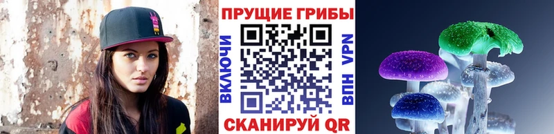 кракен маркетплейс как найти закладки Лесозаводск Псилоцибиновые грибы GOLDEN TEACHER